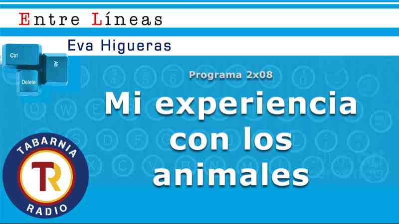 Mi experiencia con los animales